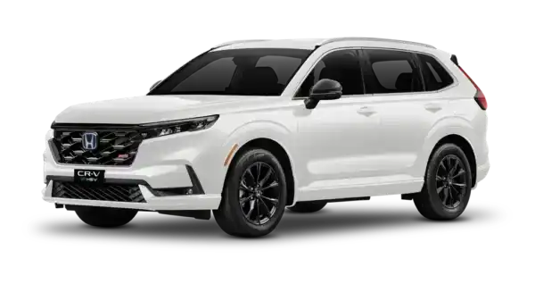 XE HONDA CRV